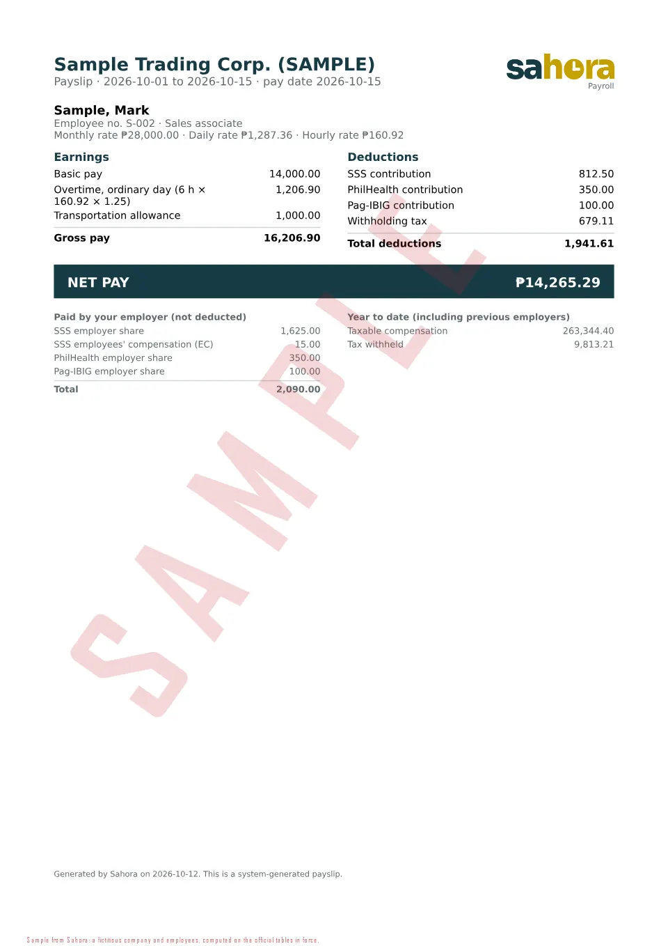 First page of the sample Payslip